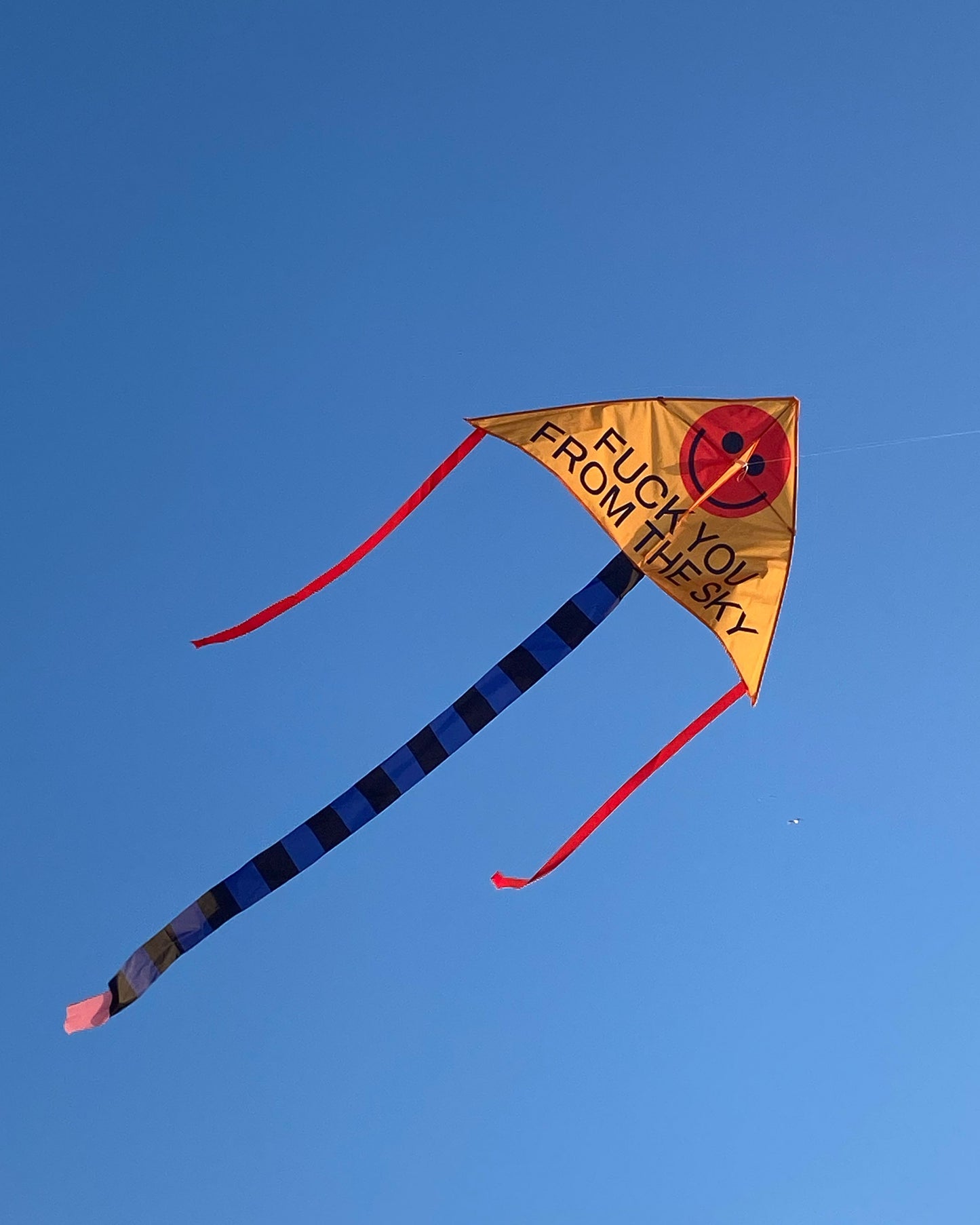 FUCK YOU FROM THE SKY Kite