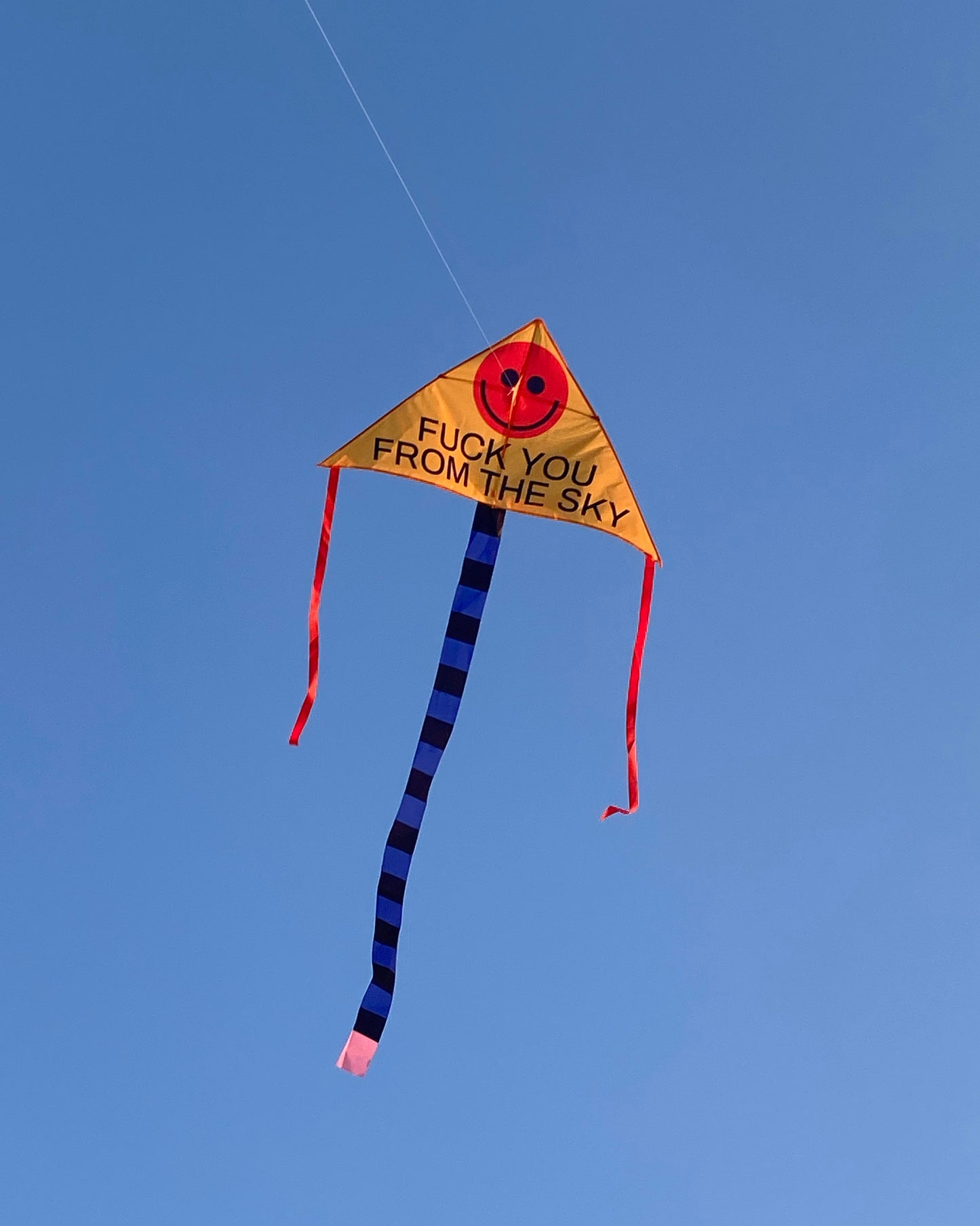 FUCK YOU FROM THE SKY Kite